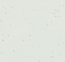 Линолеум Forbo Sphera Energetic 50230 polar фото 1 | FLOORDEALER